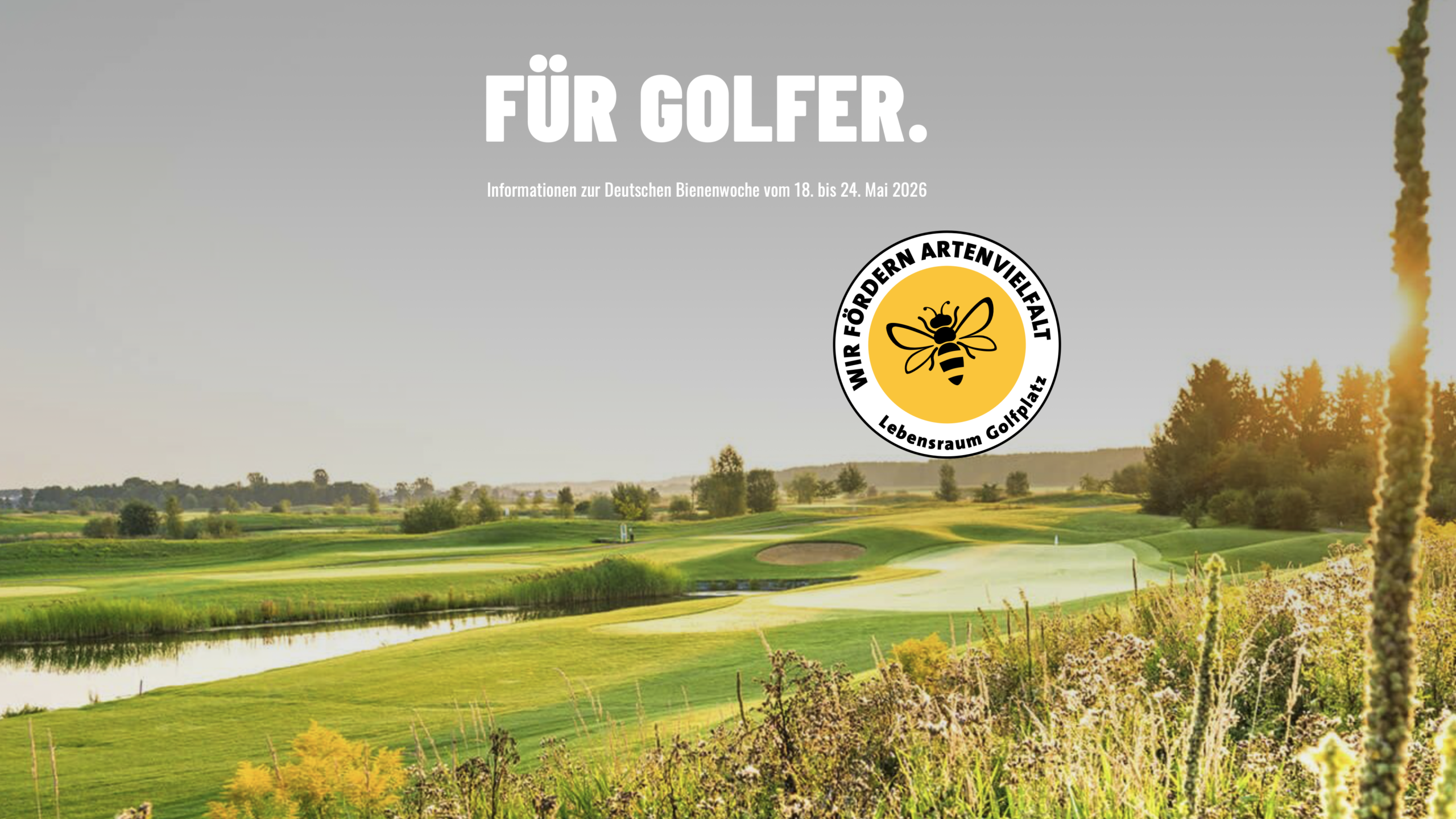 Deutsche Bienenwoche – Just Bee There.